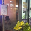 그냥포차 | 수원금곡동맛집ㅣ그냥포차 오징어회 포장 내돈내산 리뷰