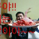 용기네 농장 이미지