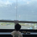 차칸초밥 | 아기랑 오키나와 여행 일정 : 1일차-타임즈렌트카,우미카지테라스,아메리칸빌리지 레쿠호텔,이치겐야