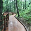 대전 대덕구, ‘대청호반 숲 무장애 나눔길’ 조성 완료
