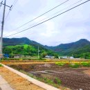 쌍책면사무소 이미지