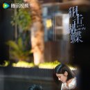 명석중학교 | 중드 저격호접(狙击蝴蝶) 줄거리·등장인물·현지반응 총정리 (천옌시, 주가우 주연)