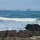 제주 토브 이미지