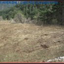 기린초 방동분교장 이미지