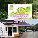 리프레쉬캠핑장 | 🏕️ 문경 그린스톤 캠핑장, 비 오는 날 두가족존 다녀온 후기 (내돈내산)