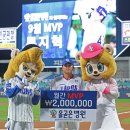 올곧은병원 스포츠투데이