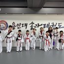 가동태권도 이미지