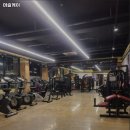 머슬케이