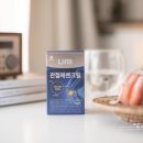 에쎈하우스
