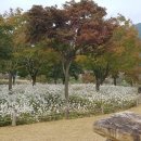 행복한 농원 이미지