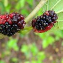 오디한의원 이미지