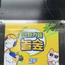 독스피씨방 | [홍대] 놀숲 프리미엄 홍대점: 홍대만화카페 추천
