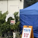 연홍 | 진한 국물의 깊은 맛, 연홍식당 소머리국밥 후기