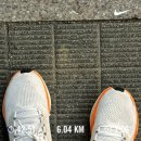영광농업협동조합 | [일상] 4월 특집: 콜드플레이 4/18(금) 중콘 / 2025 빵빵런 10km 완주 후기⭐️
