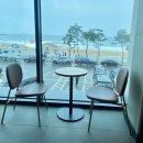 화진약국 | 명절 차례 없애고 산소 갔다가 포항 화진해수욕장 스타벅스에서 바다 조망