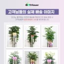 공룡광택 - 제주시 신광로8길 25-1 | 공룡광택
