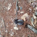 삼풍농장 이미지