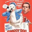 Refine dog 이미지