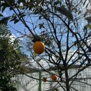 추억의 다락방 민박 | 공주숙박 추천! 자유민박에서 가족 힐링 여행