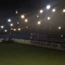 더퍼피즈블루오션 이미지