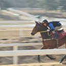 우주목장 이미지