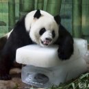 희망정신건강의학과의원 이미지