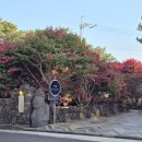 남원읍-122 이미지