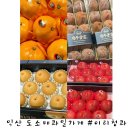 파머스청과