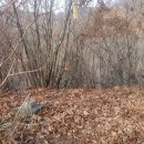 용천사슴목장 이미지