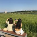 금호강변 이미지