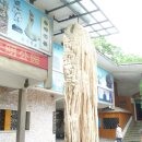 정광공원 이미지