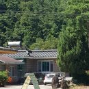 해뜨는 민박 이미지