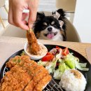 펫비스트로 이미지