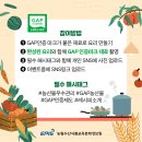 GAP 인증 농산물 요리 이벤트 *GAP 농산물 꾸러미 50명 이미지