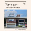 안평역 | 기장 애견동반 카페ㅣ댕댕이가 좋아하는 분위기ㅣ카페 일로우