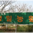 명일농장 이미지