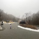 홍천장작마을㈜ | 캠프인더숲] 홍천 캠핑장 브런치 메뉴, 아이들과 연말 먹부림 캠핑 여행