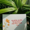 좋은문구 - 수성구 파동로 253 | 좋은문구