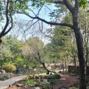 카멜리아힐 이미지