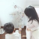 메종드제제