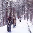 안흥목장 이미지