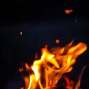 홍스캐빈 이미지