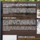 황토굴칼국수