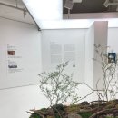 서초구장애인단체총연합회 | 대한민국장애인미술대전 초대작가 기획전 ≪깊고 낯선 조우≫