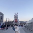 현보한우국밥 | 도담댁 1월 결산 - 와 벌써 한달 뚝딱 그리고 N번째 다이어트 다짐...