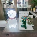 까르페디엠 이미지