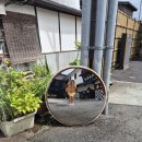 영원대중탕 | 3박 4일 혼자 여행 (4) / 인디고트래블 유후인 히타 버스투어 / 누루카와 온천까지 즐긴 내돈내산 후기