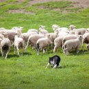 주정차75 | [10.30까지 공구 진행 중!] 평창 초가성비 숙소 휘닉스파크 1박 2일 여행 코스 일정 스키 워터파크 캠핑