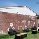 개으른세상 도그푸드 이미지