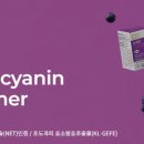 키토식품센타
